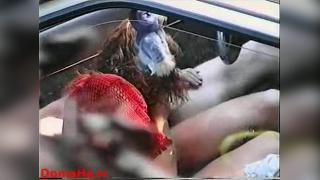 Подсмотренный секс в машине