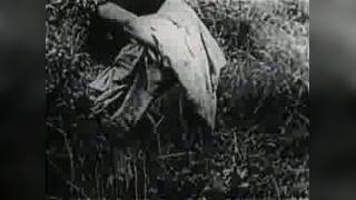 Запретные фильмы из борделей Парижа (1920-е) (-)